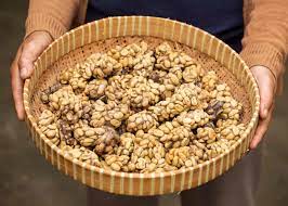 Civet Coffee All About Kopi Luwak Coffee And The Cat That Poops It Out Enjoyjava