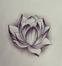 Love This Lotus Tattoo Design Tattoos Lotus Flower Drawing