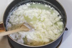 Image result for Chenolea