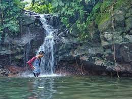 Tempat yang masih jarang dikunjungi ini memiliki air yang sangat jernih, udara sejuk dan panorama yang menyegarkan mata. Curug Ciampea Wisata Air Terjun Di Bogor Yang Instagramable Banget