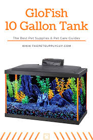 How Many Glofish In A 10 Gallon Tank Stocking Guide In 2020 Glofish Gallon Fish Care