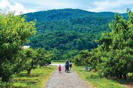 If so please fill in our contact form so you can edit this listing. Why Crozet Sweet Family Business Remains Fruitful Into Second Century Crozet Gazette