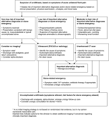 Algorithm For Management Of Acute Unilateral Flank Pain And Suspected Download Scientific Diagram