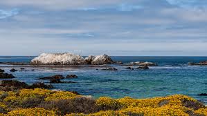 Beaches In Pebble Beach Ca California Beaches