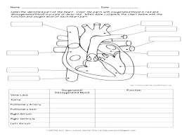 In the middle ages and early renaissance, galenic physiology continued to present the arterial and v enous systems as two distinct circulatory systems in the human body. Worksheet Grade Practice Math Worksheets Human Body Reading Comprehension Free Sheets Printable Map Test Sumnermuseumdc Org