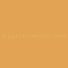 Olympic B14 4 Brown Mustard Precisely