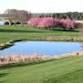 Lincoln Men's & Senior City Amateur