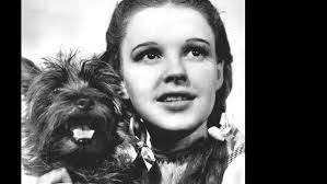 Randi Terry's Instagram, Twitter & Facebook