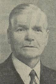 Familieskjema for Johan Peter Petterson Bohlin