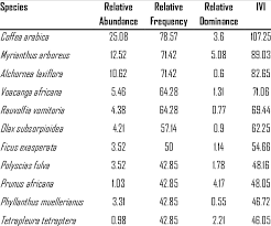 Image result for Olax pentandra