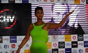 Página de seguidores de la modelo, animadora y showoman chilena. Los Memes Que Dejo El Encendido Vestido De Pamela Diaz En La Gala De Vina Redes Sociales Pagina 7