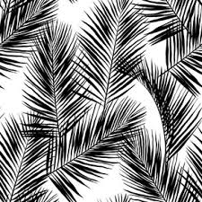Monstera leaves, banana leaves and palm fronds in black and white. Black And White Wallpaper Leaves