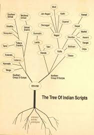The Tree Of Indian Scripts Hindi Taal En Zuid Aziatische Cultuur Aan De Universiteit Leiden Language Tree Hindi Language Hindi Alphabet