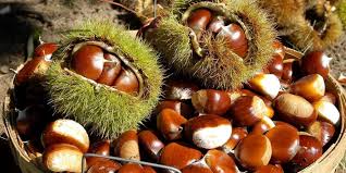 Check spelling or type a new query. I Benefici Delle Castagne Perche Fanno Bene All Organismo Vivo Al Top