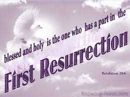 What Does Revelation 20:6 Mean?