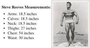 ideal measurements for a bodybuilding physique lee