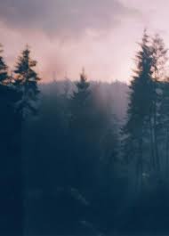 Nature Indie Photography Vintage Landscape Nature