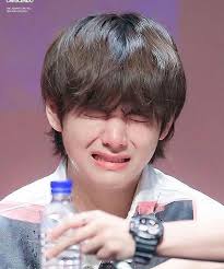 little space tete bts v photos taehyung bts v merchandise