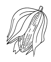 You will need a pdf reader to view the file. Corn Cob Coloring Page Coloring Home