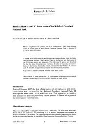 Image result for Plinthus cryptocarpus