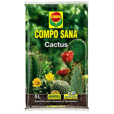 Los cactus (familia cactaceae) son el segundo grupo de plantas, después de las orquídeas, con las flores más vistosas en la naturaleza. Jardineria Y Cuidados Yosoycactus