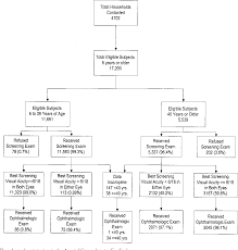 Figure 1 From Blindness And Vision Impairment In A Rural