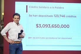 Formulario del deudor solidario, digitar su nombre, documento de identidad y la información. Imss Presenta Nuevo Credito Solidario Para Las Trabajadoras Del Hogar 24 Horas