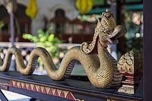 They will fiercely protect the territory they consider their own. Naga Wikipedia