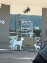 Vet In Pv And Nuevo Just Down The Street