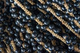 Find craft supplies you'll love. Acai Berry And Cancer Cancer Therapy Advisor