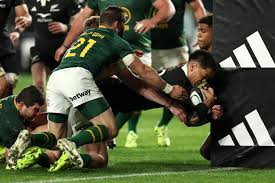 Rassie Erasmus : ce qu'il faut savoir — image 5