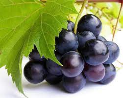 Pilih dari sumber gambar hd tabel anggur png dan unduh dalam bentuk png. Gambar Buah Anggur Radea