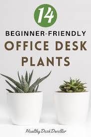 The Best Office Desk Plants Healthy Desk Dweller In 2020 Office Plants Desk Desk Plants Cool Office Desk