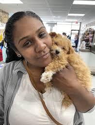 Stephanie Cozzolino Obituary