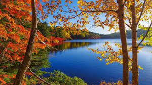 Nature Autumn Lake Hd Free Download Wallpapers Autumn Lake Autumn Nature Autumn Trees