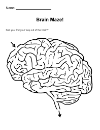 Search through 623,989 free printable colorings at getcolorings. Neuro Coloring P Pages Glia