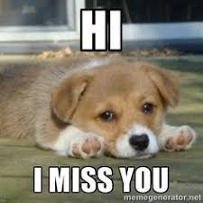 8 I Miss You Meme Ideas I Miss You Meme I Miss You Miss You