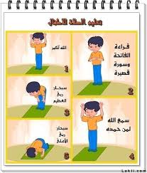 نتيجة بحث الصور عن كيفية الصلاة بالصور Iphone Wallpaper Quotes Love Wallpaper Quotes Family Guy
