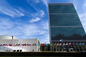 Webinars about the UN system & processes | International ...