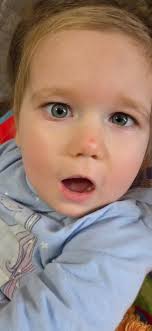 Meet Eloise . I'm pretty proud of this little girl and how's she's turned  out. She is already spoken for :)