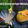 oceanarium melaka from www.malaysia-traveller.com