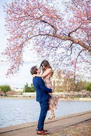 Hannah Joe S Cherry Blossom Portrait Session Lincoln Photography Dc Engagement Photos Washington Dc Engagement Photos Surprise Engagement Photos