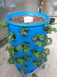 You add kitchen scraps into the center tower which. News From Maxi Container Inc Veggie Garden Plants Garden Lovers