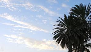 L'actualité, tous les jours sur instagram. Voyage Au Venezuela Que Faire En Vacances