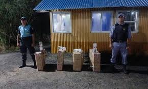 Secuestraron casi 200 gruesas de cigarrillos en un operativo vehicular en  Mansilla - Diario La Mañana