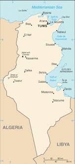 This map was created by a user. Tunisia Wilson Center
