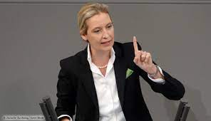 Das hat das lg hamburg nun im eilverfahren entschieden. Afd Politikerin Weidel Bricht Tv Interview Ab Digital Fernsehen