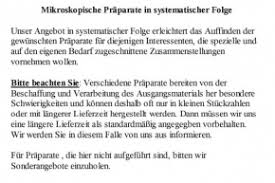 Bei verdacht auf wundbotulismus züchtet der arzt die erreger aus wundkulturen. Mikropraparat Clostridium Botulinum Botulismus Erreger Ausstrich