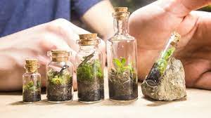 Japanese gardens are made for relaxation and meditation, and such places are something we all need now and then. Making Tiny Native Terrariums Youtube