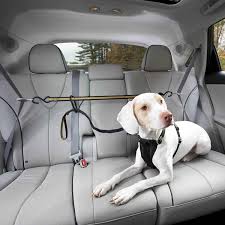 Properly securing your dog with a car safety harness and/or a dog seatbelt every time you drive is a smart idea. Kurgo Auto Zip Line Car Safety Tether Lead Travel Seat Belt Clip For Dog Harness 896622000326 Ebay